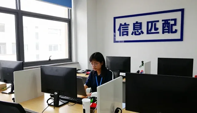 项目对接中技术服务的关键环节与维护策略